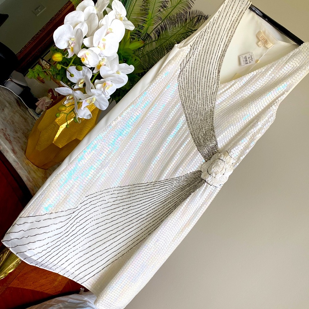 Beautiful Dress New w/Tag purchased from Neiman Marcus